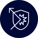 shield 1